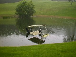 wet cart